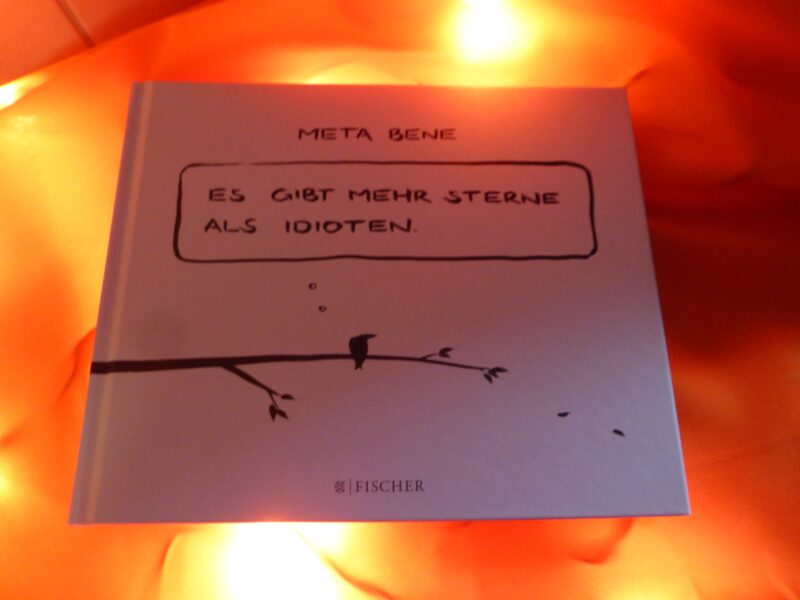 Comiclese “Meta bene – Es gibt mehr Sterne als Idioten” von Robin Thiesmeyer