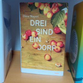 Buchtipp: Dina Nayeri – Drei sind ein Dorf