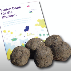 Samenbomben – Basteln mit Kindern