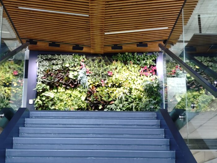 Eine dunkle Treppe führ auf eine begrünte Wand zu, links und rechts sind Wände aus Glas.