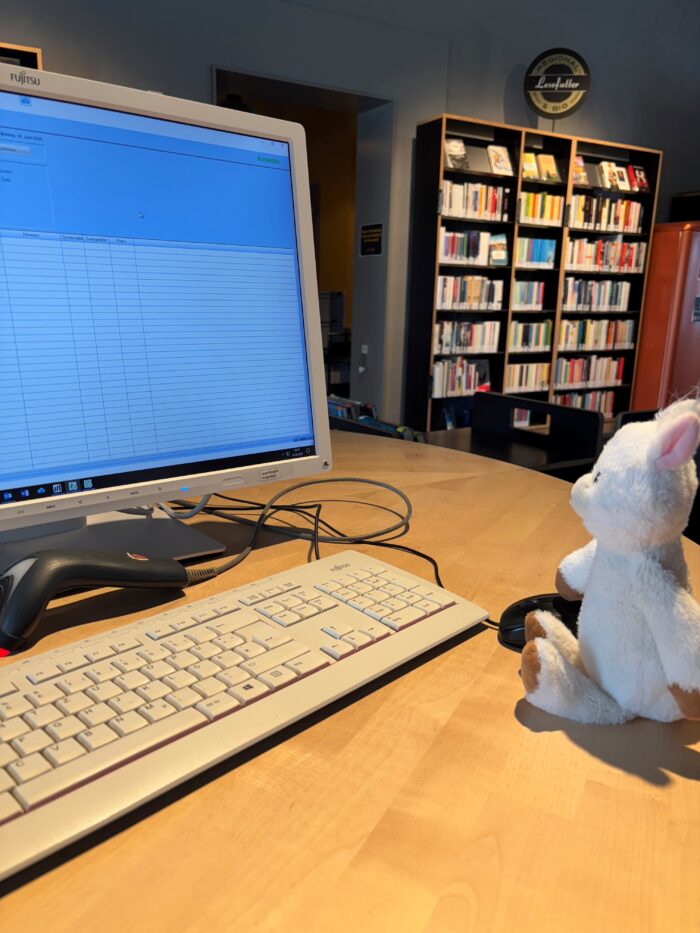 Finchen das Plüsch-Alpaka sitzt vor dem PC.