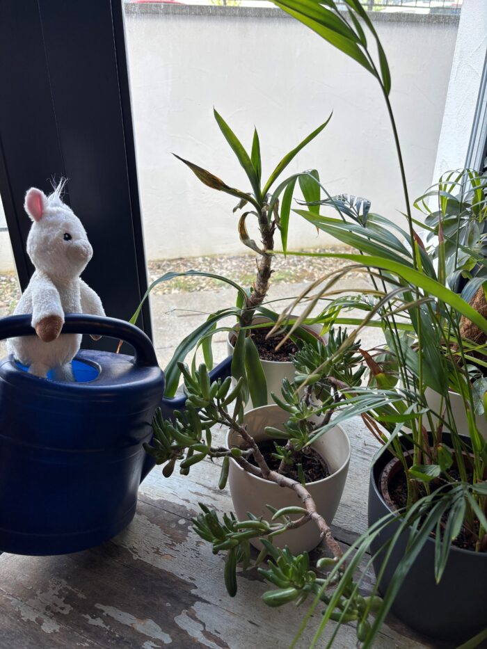 Finchen das Plüsch-Alpaka gießt die Blumen.