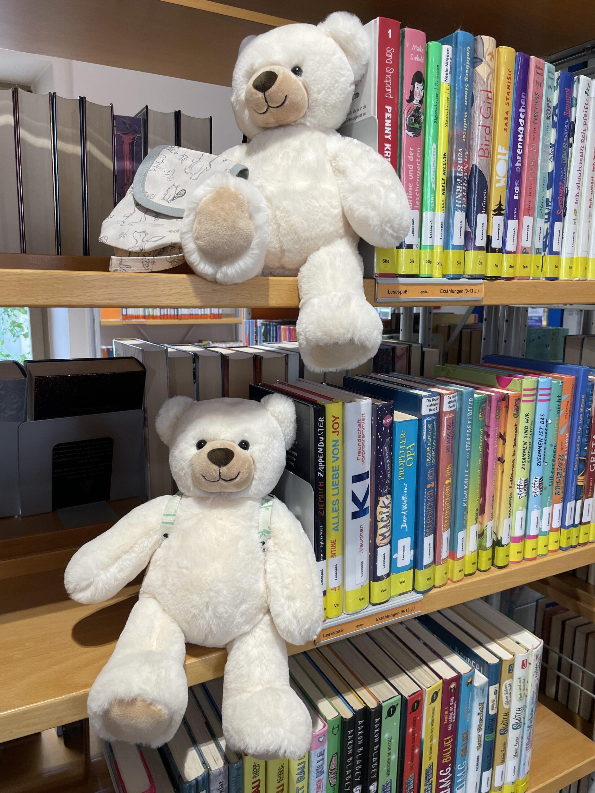 2 weiße Teddybären sitzen im Regal der Kinder- und Jugendbücherei.