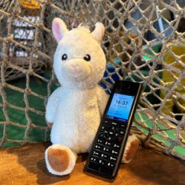 Das Plüsch-Alpaka Finchen sitzt mit einem Telefon in der Stadftteilbücherei Hubland.