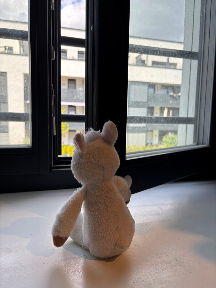 Finchen das Plüsch-Alpaka schließt ein Fenster.
