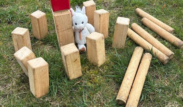 BibDing des Monats: Wikingerschach Kubb