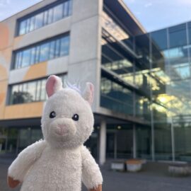 Finchen in der Berufsschule Das Stofflama Finchen vor dem Gebäude der Berufsschule für Medienberufe in München