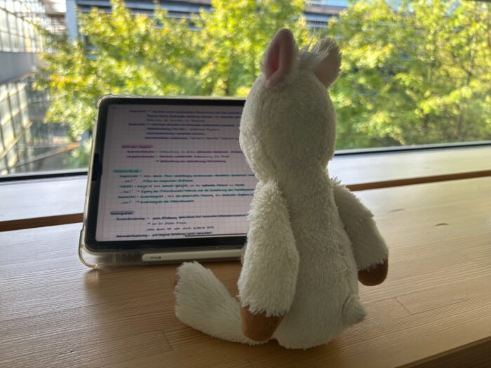 Finchen lernt auf dem Ipad für die nächste Schulaufgabe