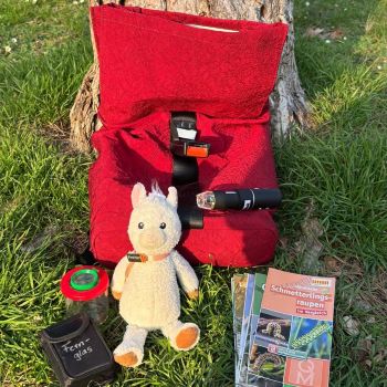 Zu sehen ist ein Plüsch-Lama, das vor einem roten Rucksack im Gras sitzt. Daneben liegen ein Fernglas, eine Becherlupe und mehrere Naturbestimmungsbücher.