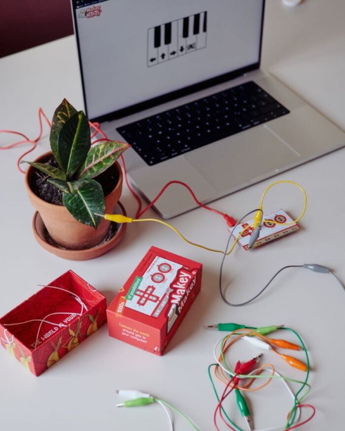 Zu sehen sind ein Laptop, eine Pflanze und daneben bunte Kabel des MakeyMakey-Sets.
