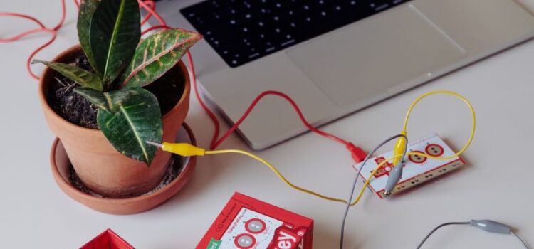 Zu sehen sind ein Laptop, daneben eine Pflanze und bunte Kabel und Anschlüsse aus dem MakeyMakey-Set.
