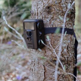 BibDing des Monats: Wildtierkamera